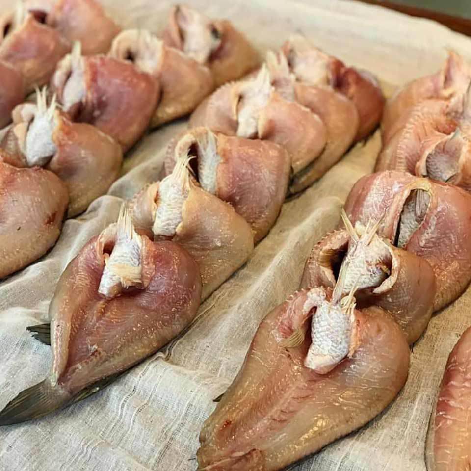 ปลาช่อนแดดเดียว สิงห์บุรี